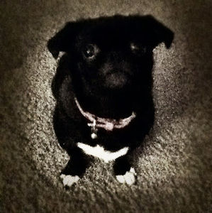 Meet your Posher, Eman